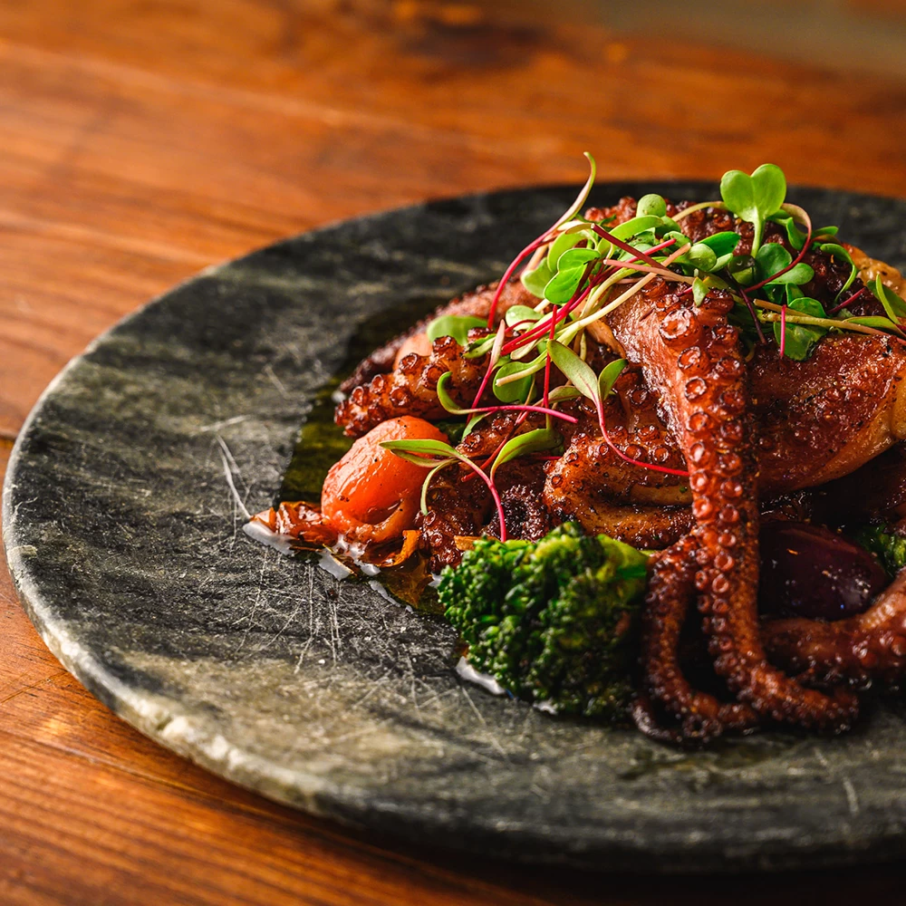 Projeto Captação Biondo