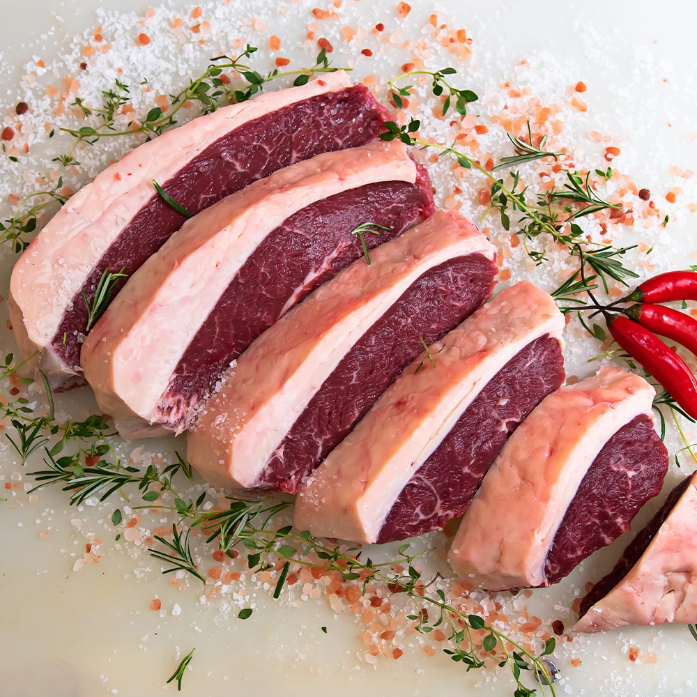 Projeto Captação GFigueiredo