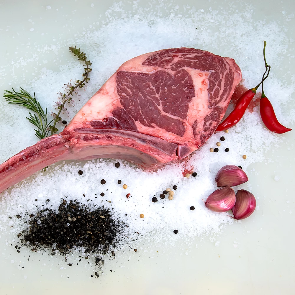 Projeto Captação GFigueiredo